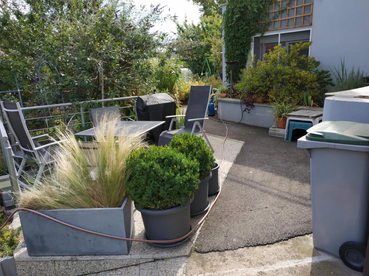 Apartment Joli Proche Strasbourg Breuschwickersheim