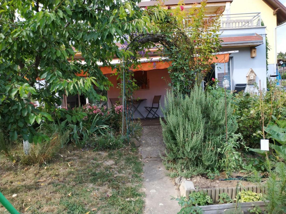 Joli Proche Strasbourg Apartment *